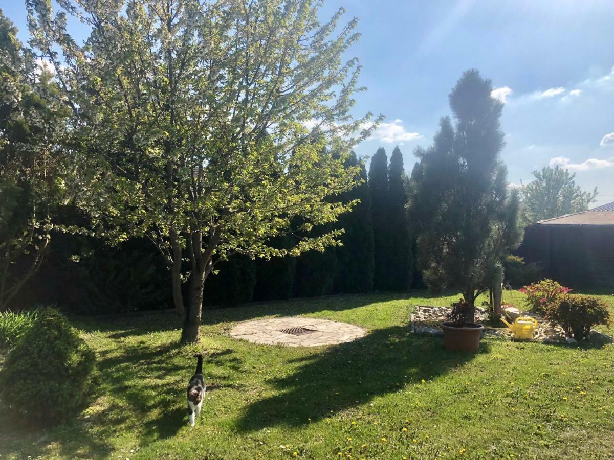 Ferienwohnung Fam.Stuchlik Winkl  Εξωτερικό φωτογραφία
